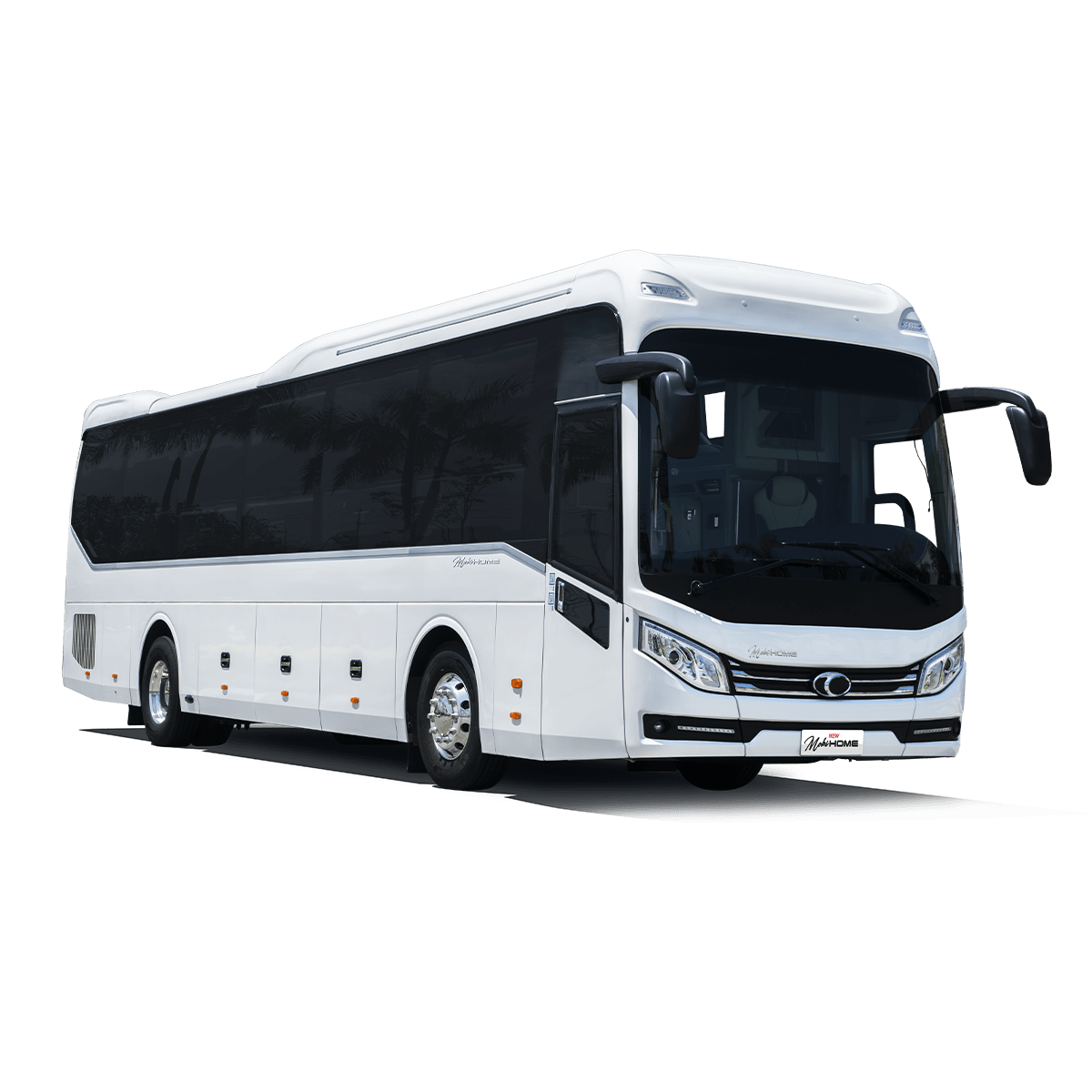 Truck & Bus