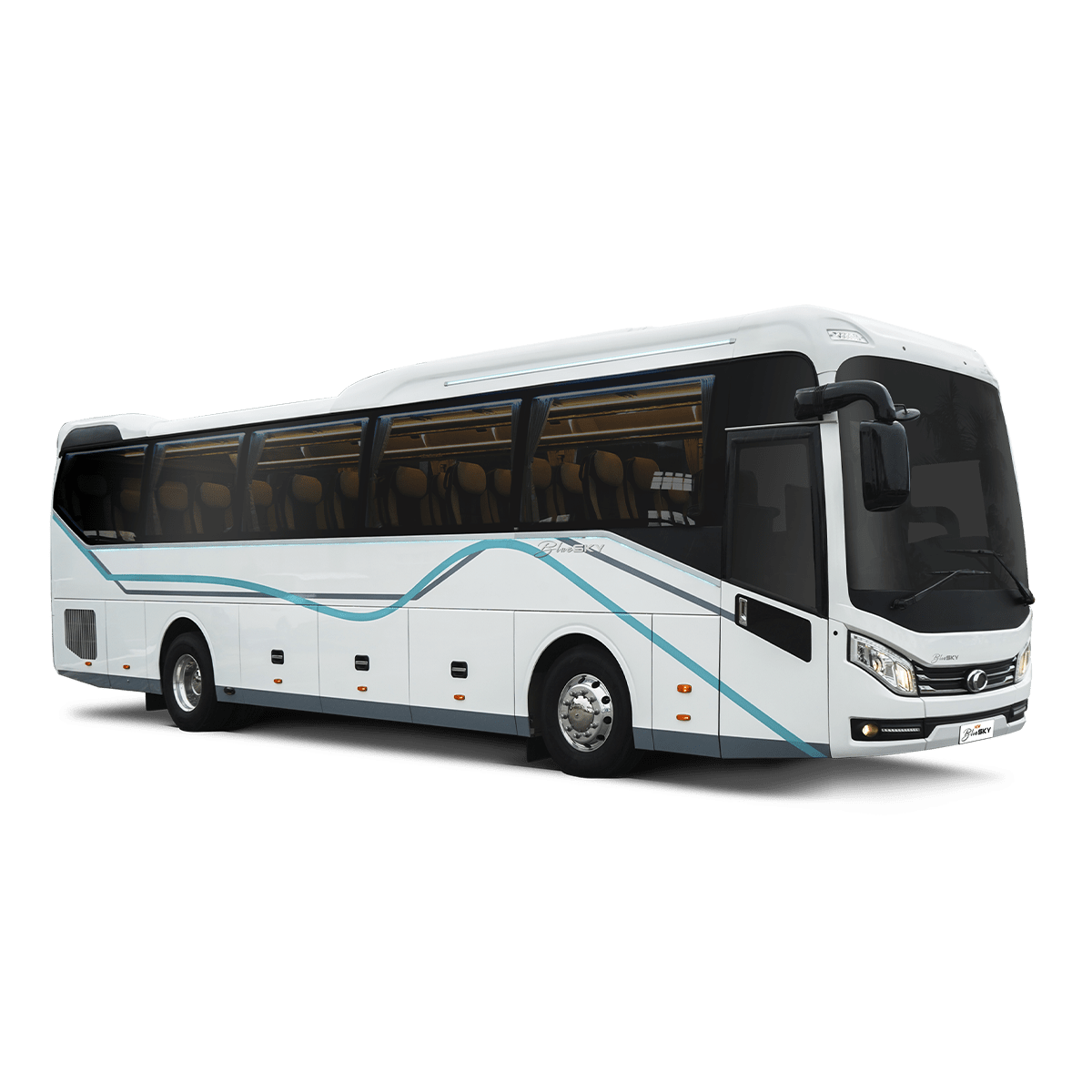 Truck & Bus